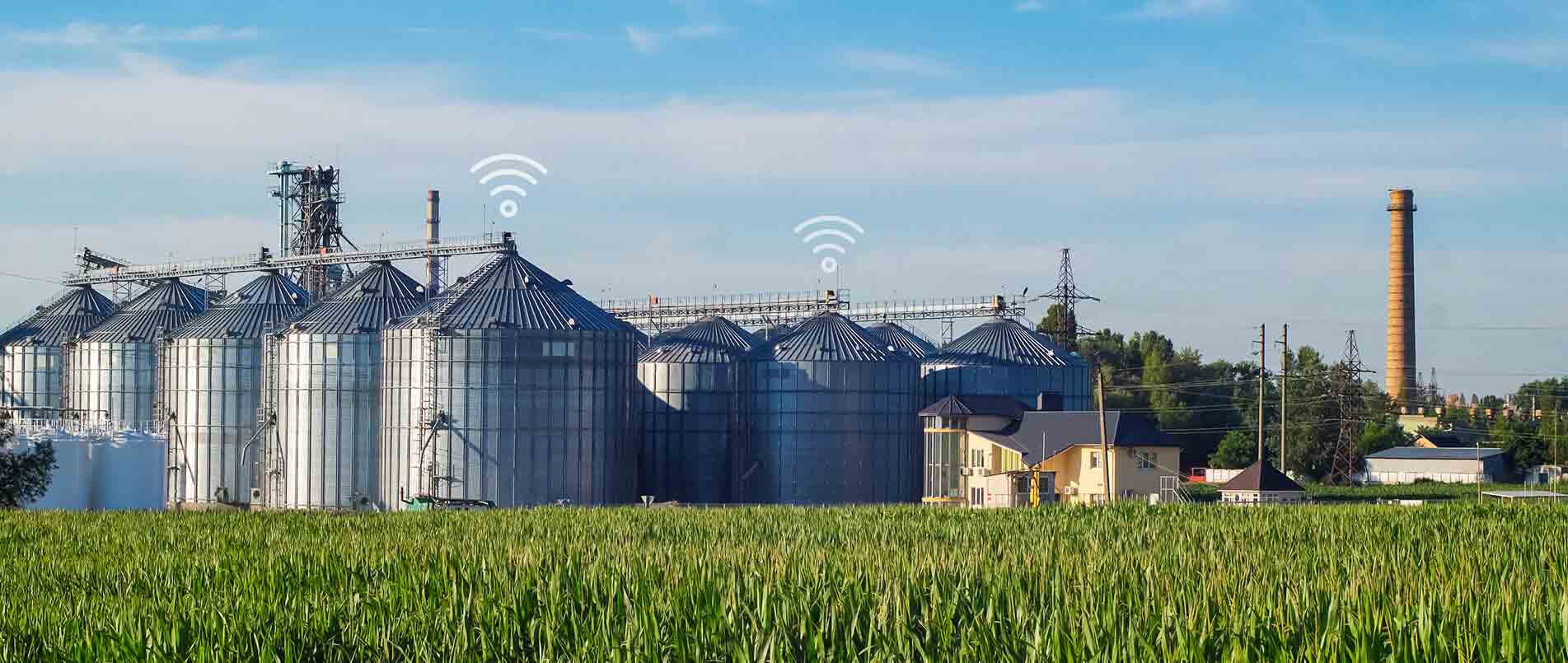 pp电子模拟器助力夏粮存储新招式，科技手段更有效