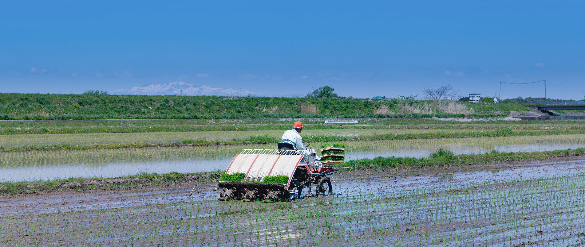 农机水田作业的“智慧大脑”——沃地泰FMA210，告别“经验种植”，开启精准高效农业之旅